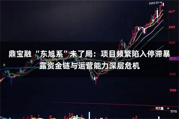 鼎宝融 “东旭系”未了局：项目频繁陷入停滞暴露资金链与运营能力深层危机